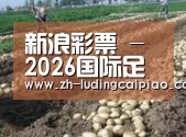 种植基地七(图1)