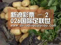 产品展示标题4