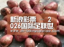 产品展示标题5(图1)