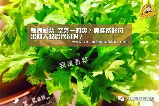 新浪彩票_空袭一时爽?美准备好付出四大政治代价吗?(图3) 新浪彩票