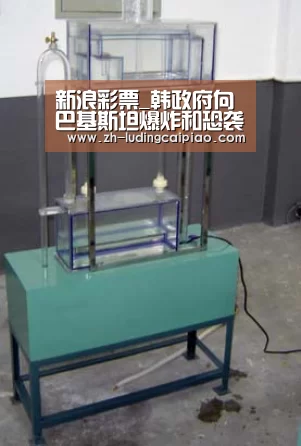 新浪彩票