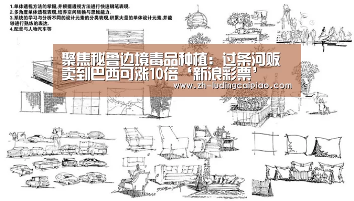 聚焦秘鲁边境毒品种植:过条河贩卖到巴西可涨10倍‘新浪彩票’(图1) 新浪彩票