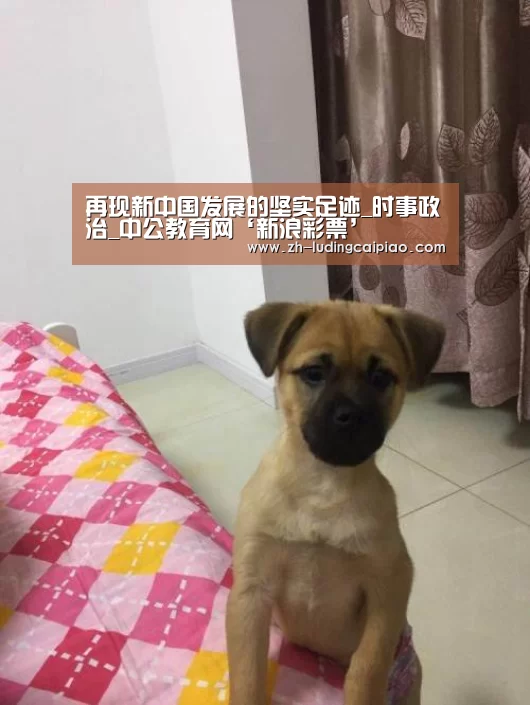 再现新中国发展的坚实足迹_时事政治_中公教育网‘新浪彩票’(图3) 新浪彩票